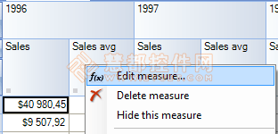 RadarCube ASP.NET OLAP计算方法详解-BI项目开发